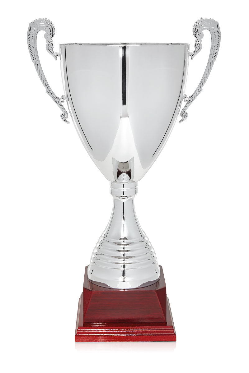 COPA CLÁSSICA PLATEADA CON ASAS
