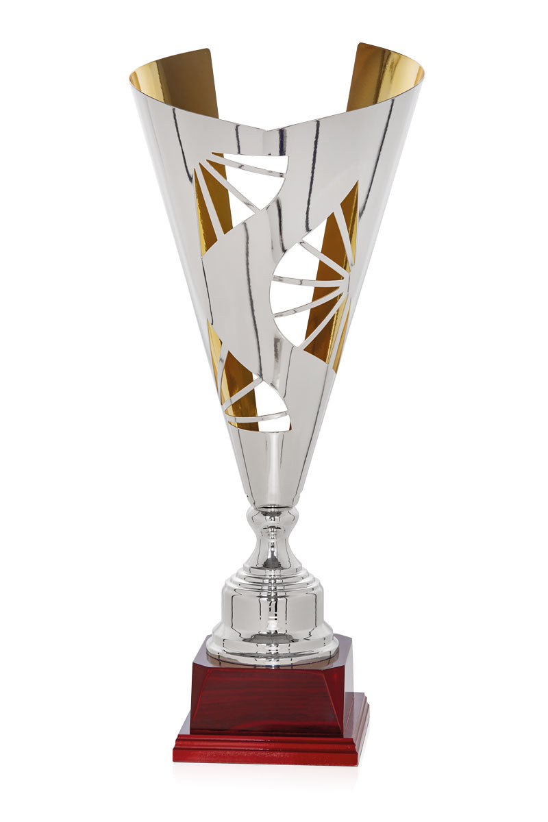 COPA PLATEADA CON FONDO DORADO