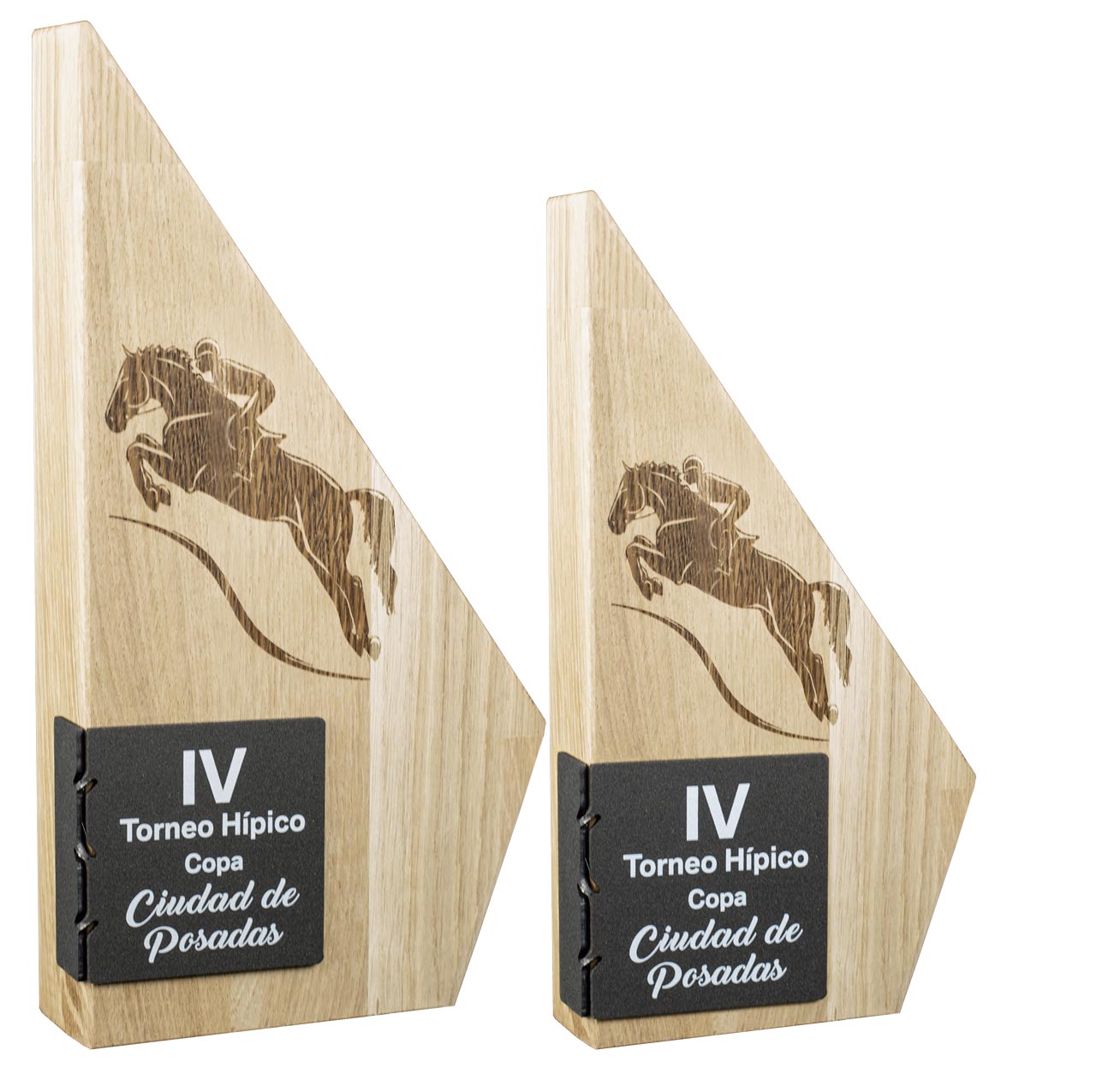 TROFEO MADERA DE HAYA