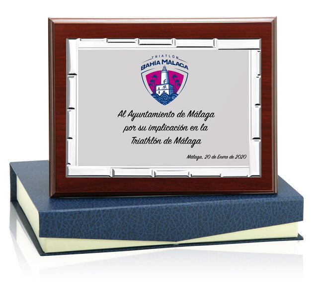 PLACA ALUMINIO PLATA-MEDIDA PEQUEÑA-INCLUYE ESTUCHE