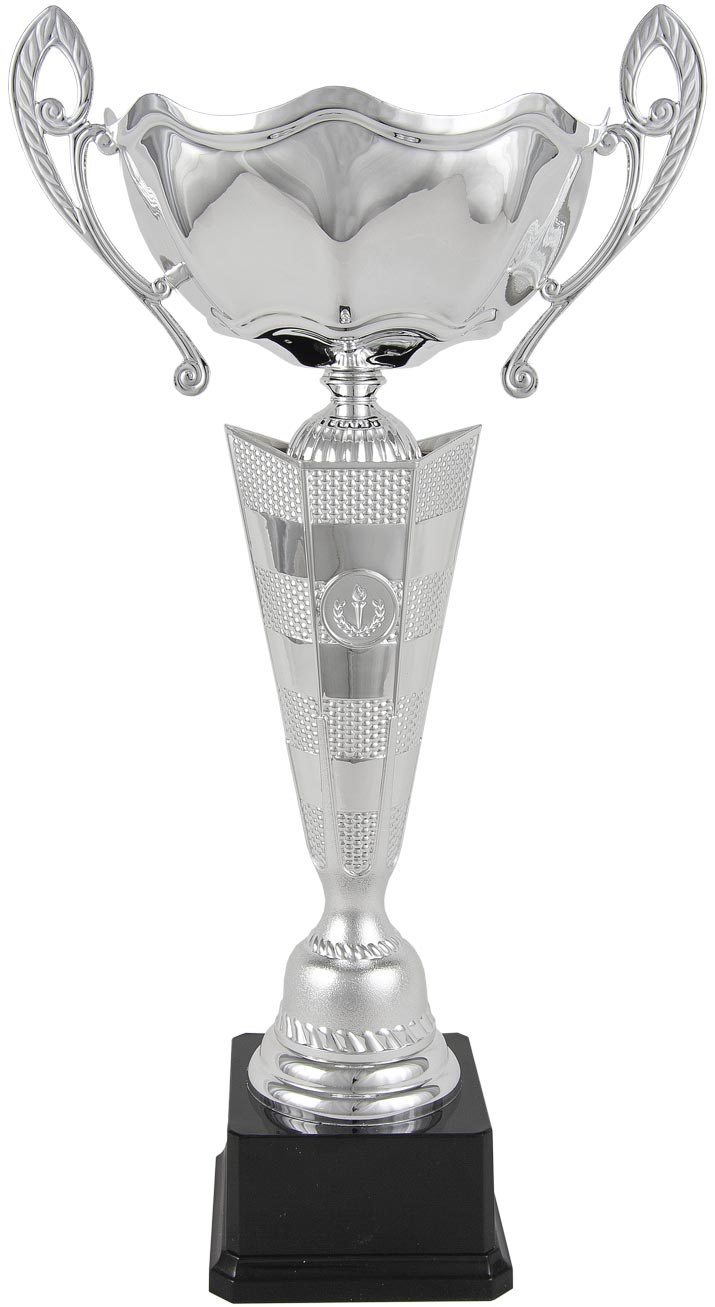 COPA PLATEADA CON ASAS