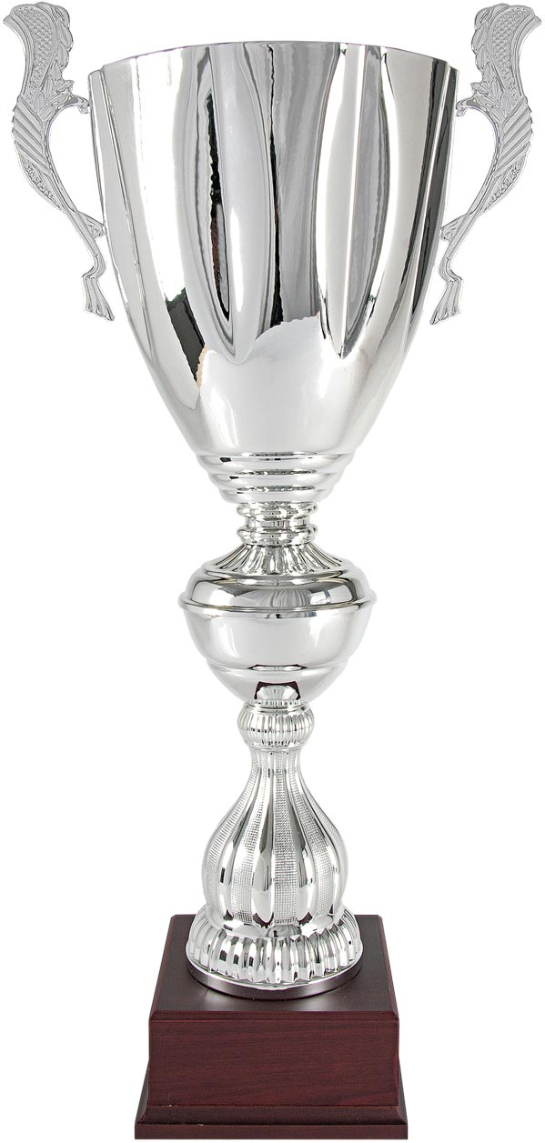 COPA PLATEADA "BIG SIZE"