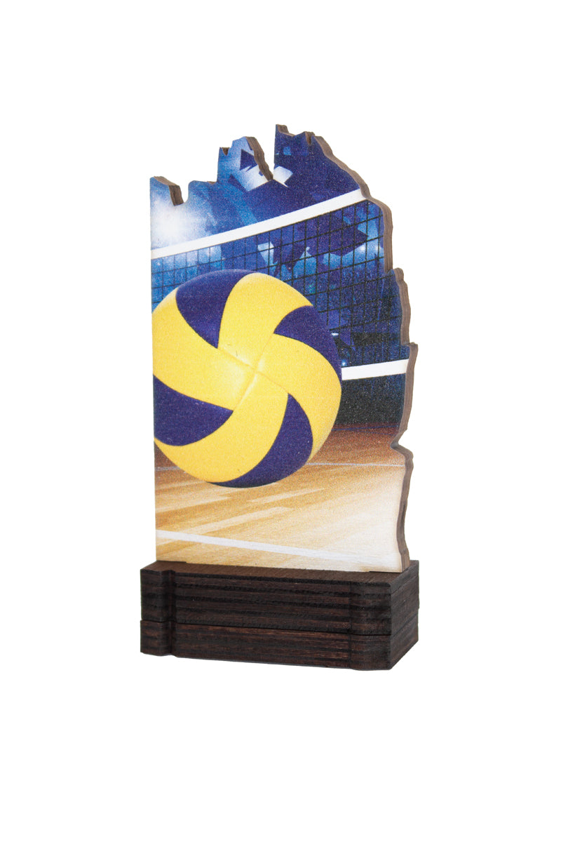 TROFEO DE MADERA VOLEIBOL