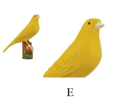 TROFEO PÁJAROS EN COPA