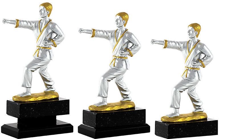 Trofeo karate