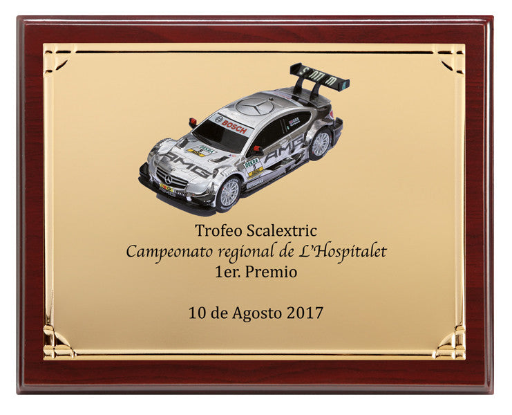 PLACA ALUMINIO DORADA CON ESTUCHE UV
