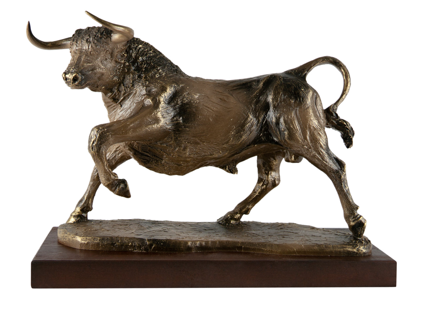 TORO DE LIDIA PATA LEVANTADA