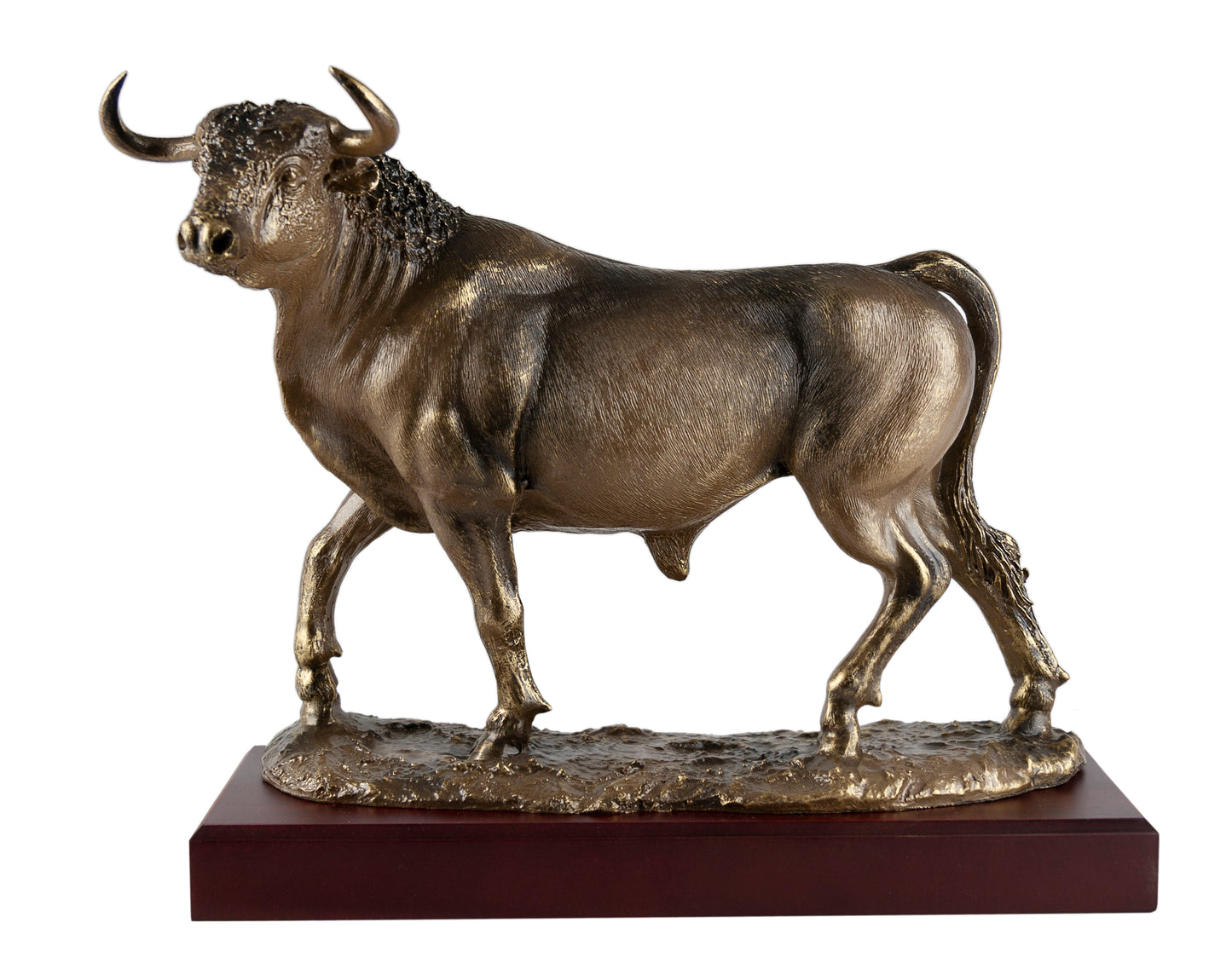 TORO DE LIDIA AVANZANDO