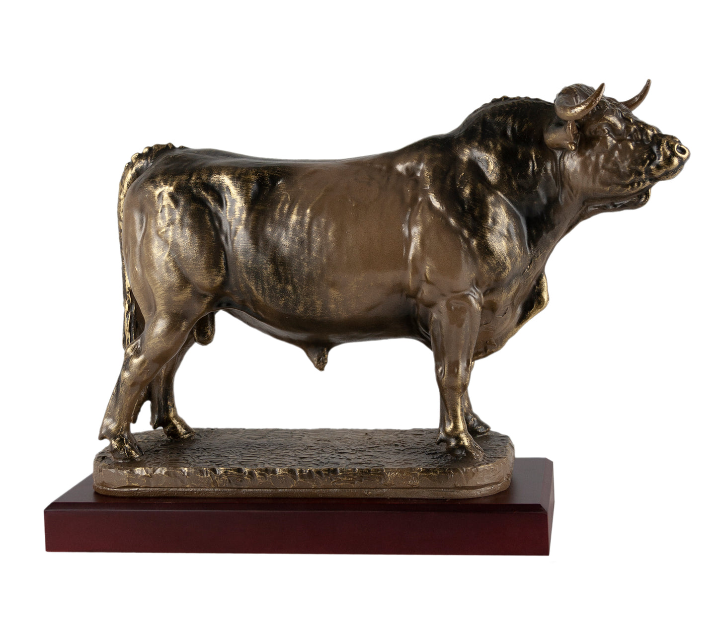 TORO PARADO