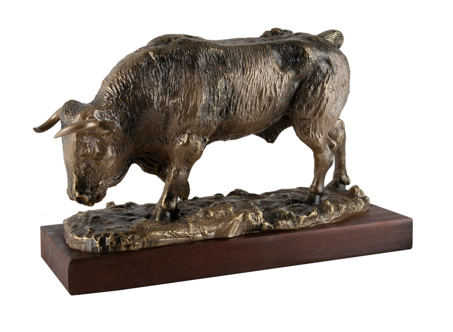 TORO ESCARBANDO