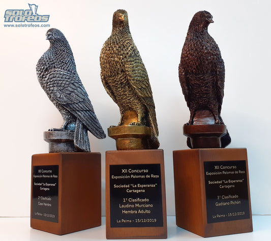 La XII edición del Concurso de Exposición de Palomas de Raza