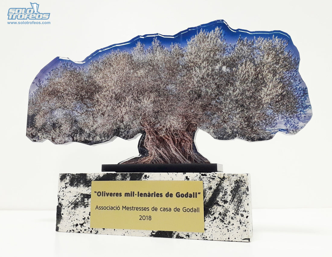 Trofeo Olivo milenario