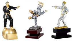 Trofeos Artes Marciales
