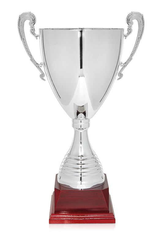COPA CLÁSSICA PLATEADA CON ASAS