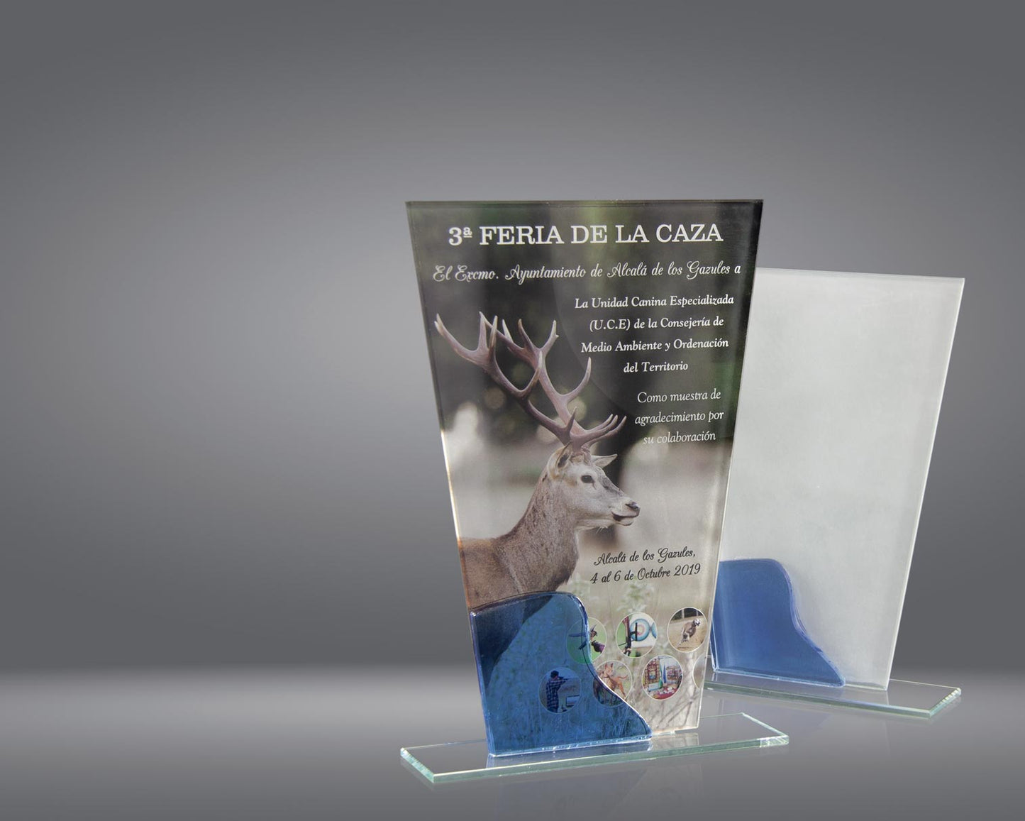 TROFEO CRISTAL GLASEADO