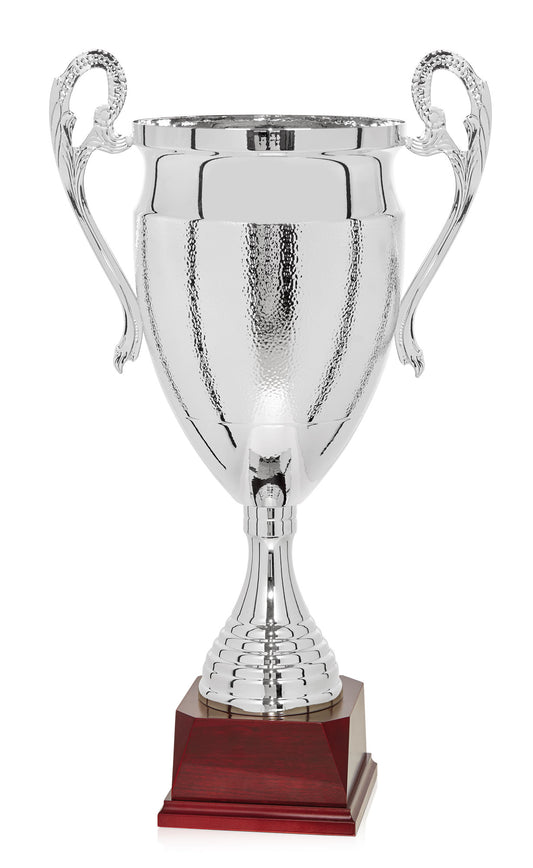COPA PLATEADA CON ASAS "BIG SIZE"