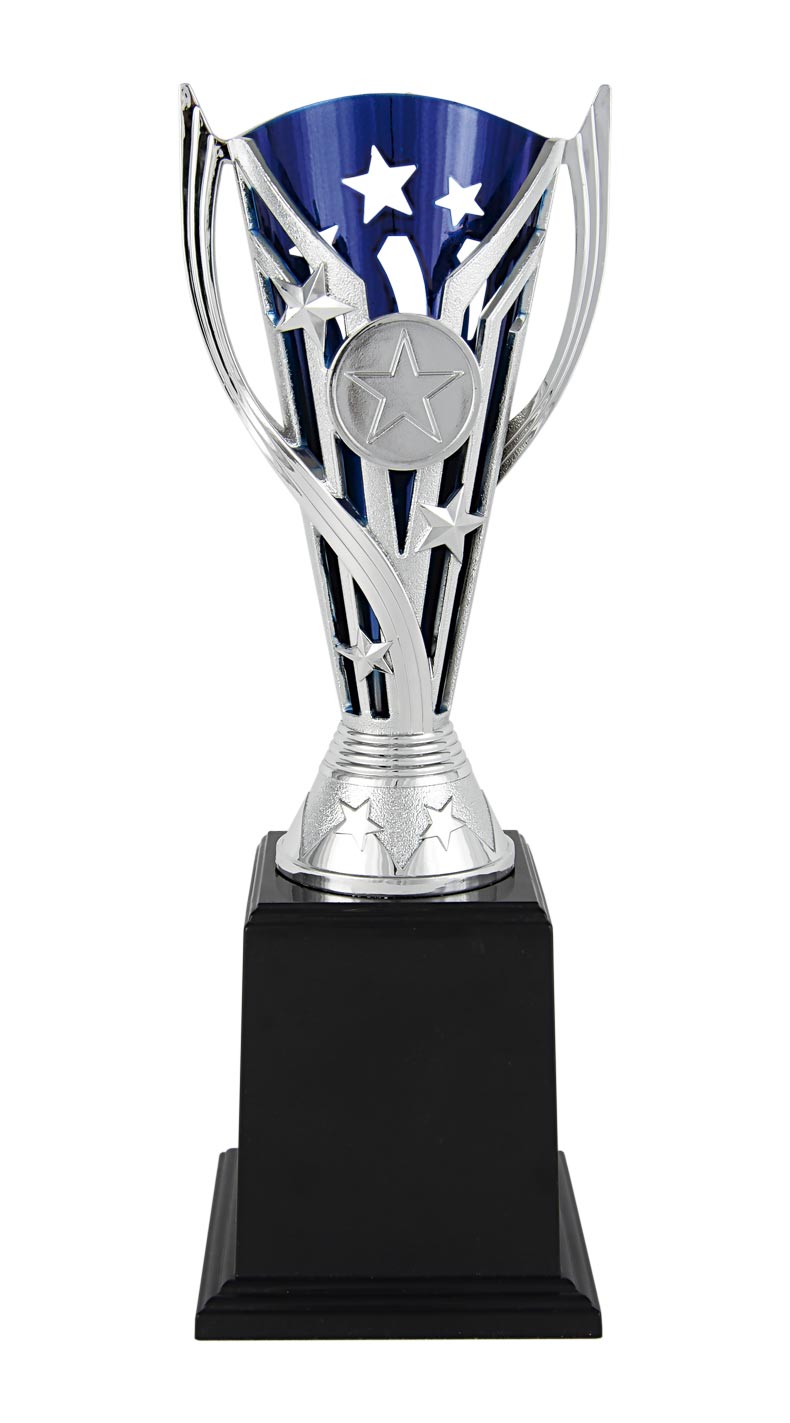 COPA AZUL Y PLATA