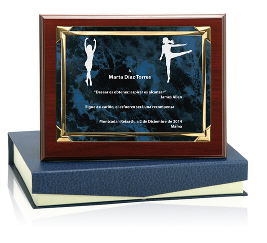 PLACA ALUMINIO AZUL-MEDIDA PEQUEÑA-INCLUYE ESTUCHE