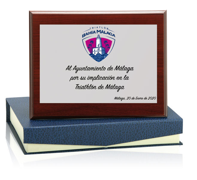 PLACA ALUMINIO PLATEADA-MEDIDA PEQUEÑA-INCLUYE ESTUCHE