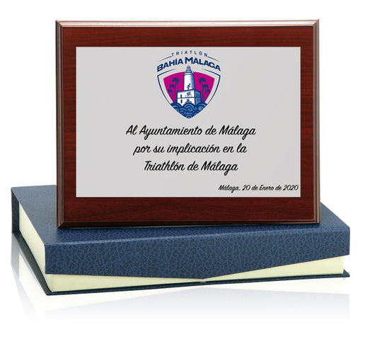 PLACA ALUMINIO PLATEADA-MEDIDA PEQUEÑA-INCLUYE ESTUCHE