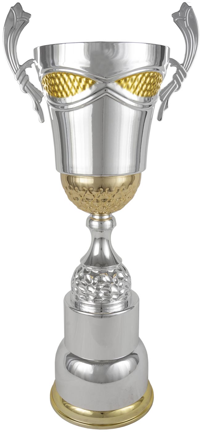 COPA PLATEADA CON DETALLE DORADO "BIG SIZE"