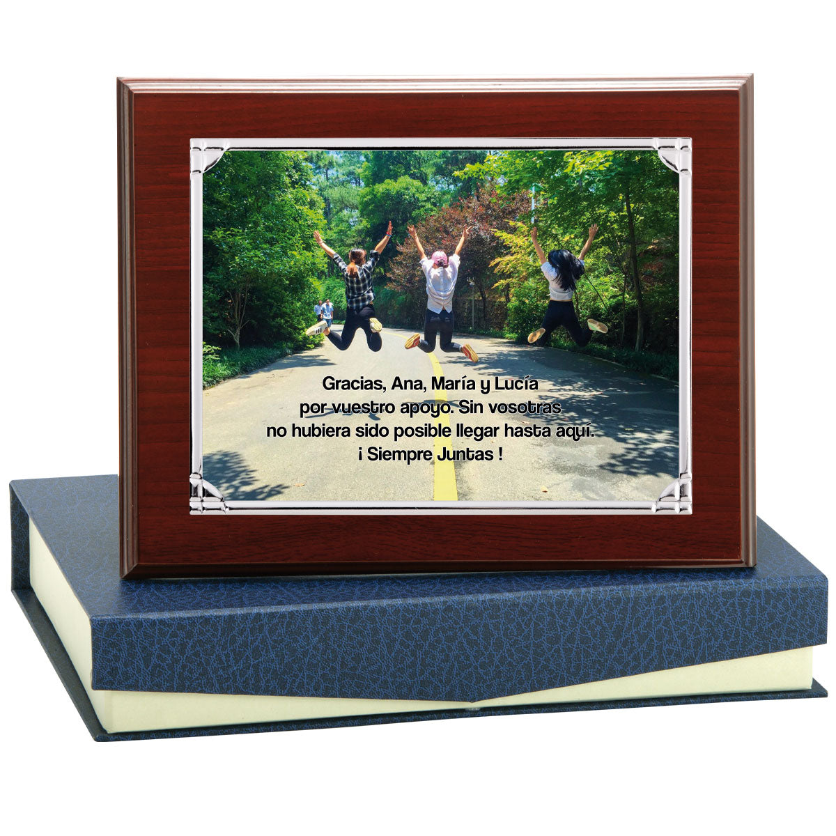 PLACA ALUMINIO PLAETADA-INCLUYE ESTUCHE