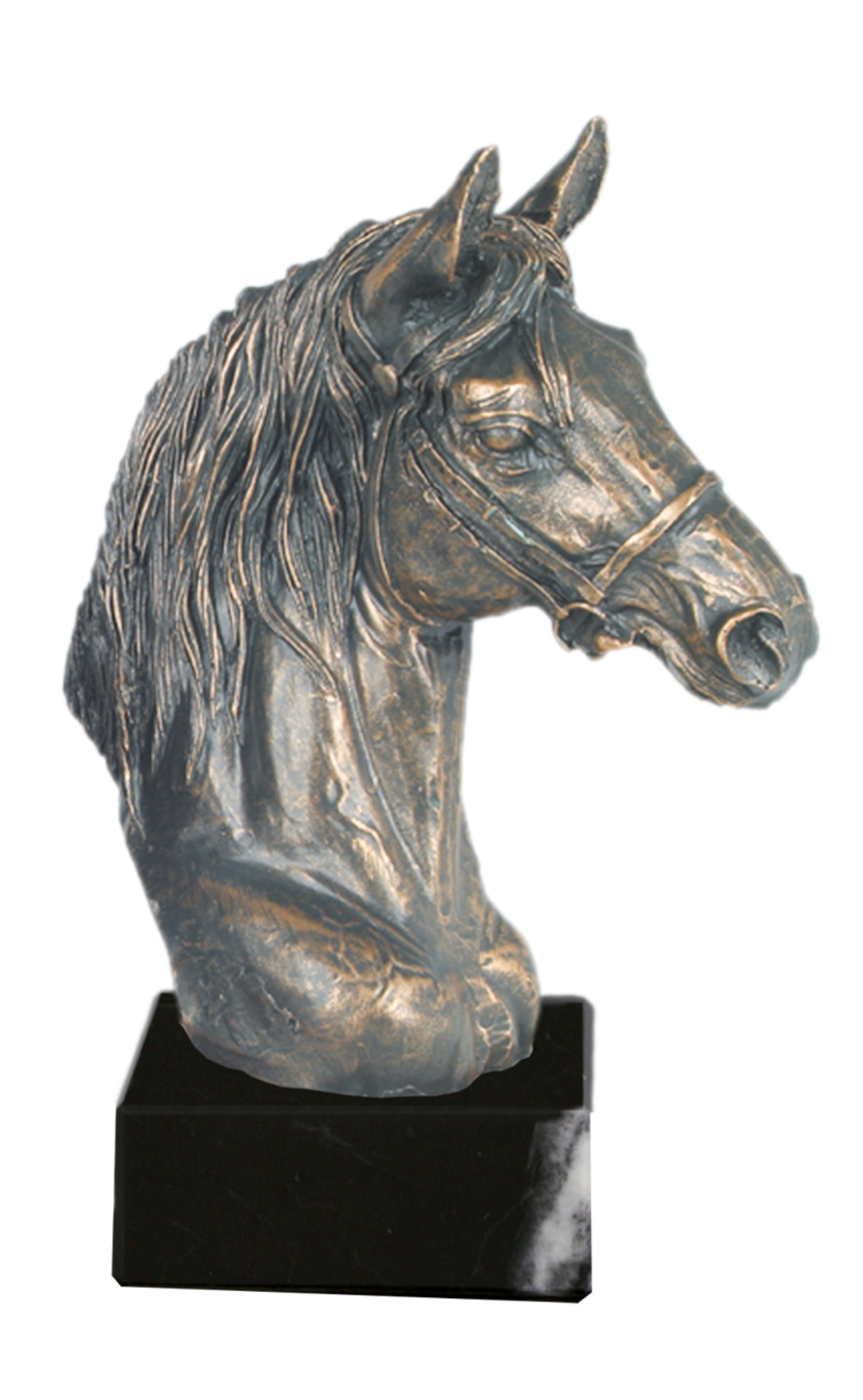 Trofeo Cabeza de caballo.