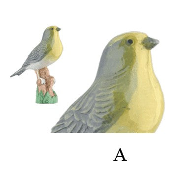 TROFEO PÁJAROS EN COPA