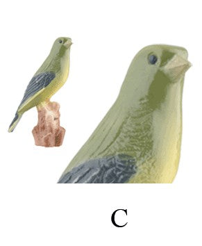 TROFEO PÁJAROS EN COPA