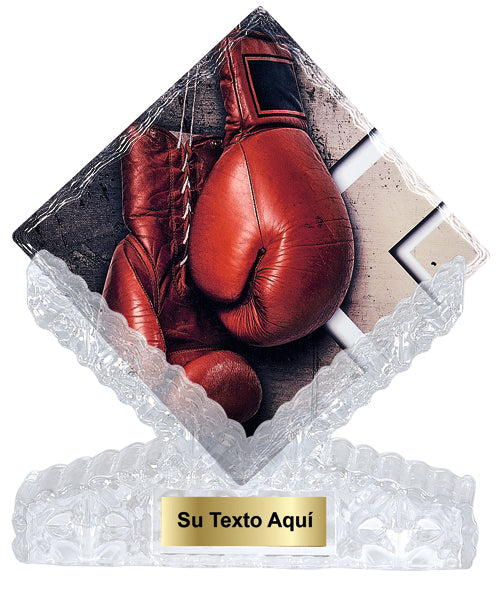 TROFEO DE CERÁMICA BOXEO