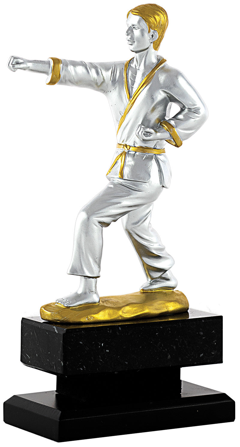 Trofeo karate
