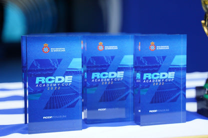 TROFEO CRISTAL RECTANGULAR