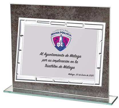PLACA DE CRISTAL CON FONDO GRIS