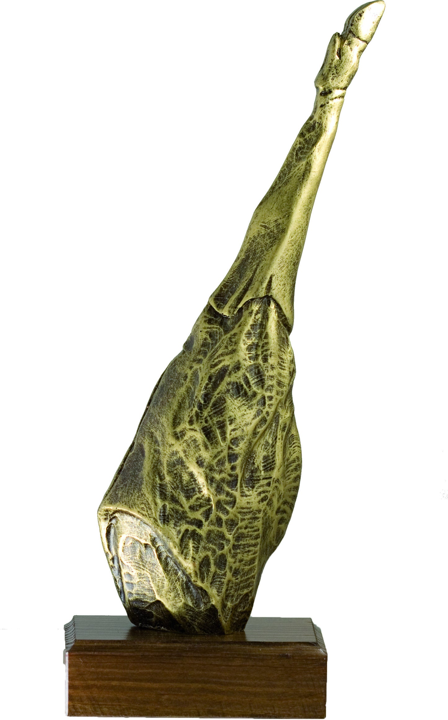 Trofeo de resina jamon oro
