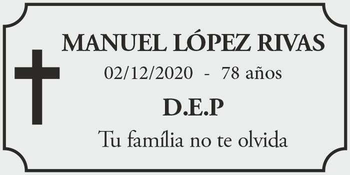 Placa Buzon plata/negra 8*4cm