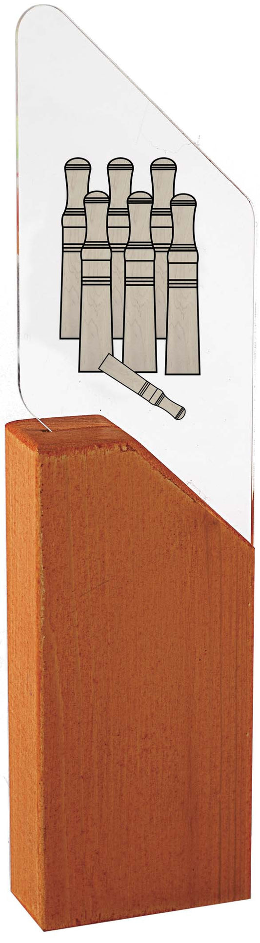 TROFEU BITLLES CATALANES