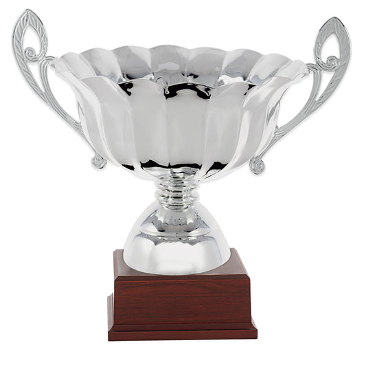 COPA ENSALADERA PLATEADA