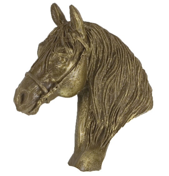 PACK 5 CABEZA CABALLO