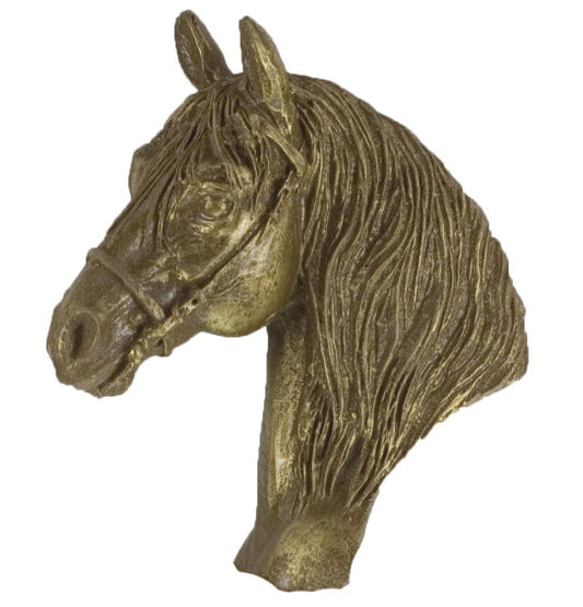 PACK 5 CABEZA CABALLO