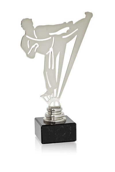 TROFEO ARTES MARCIALES DE METAL