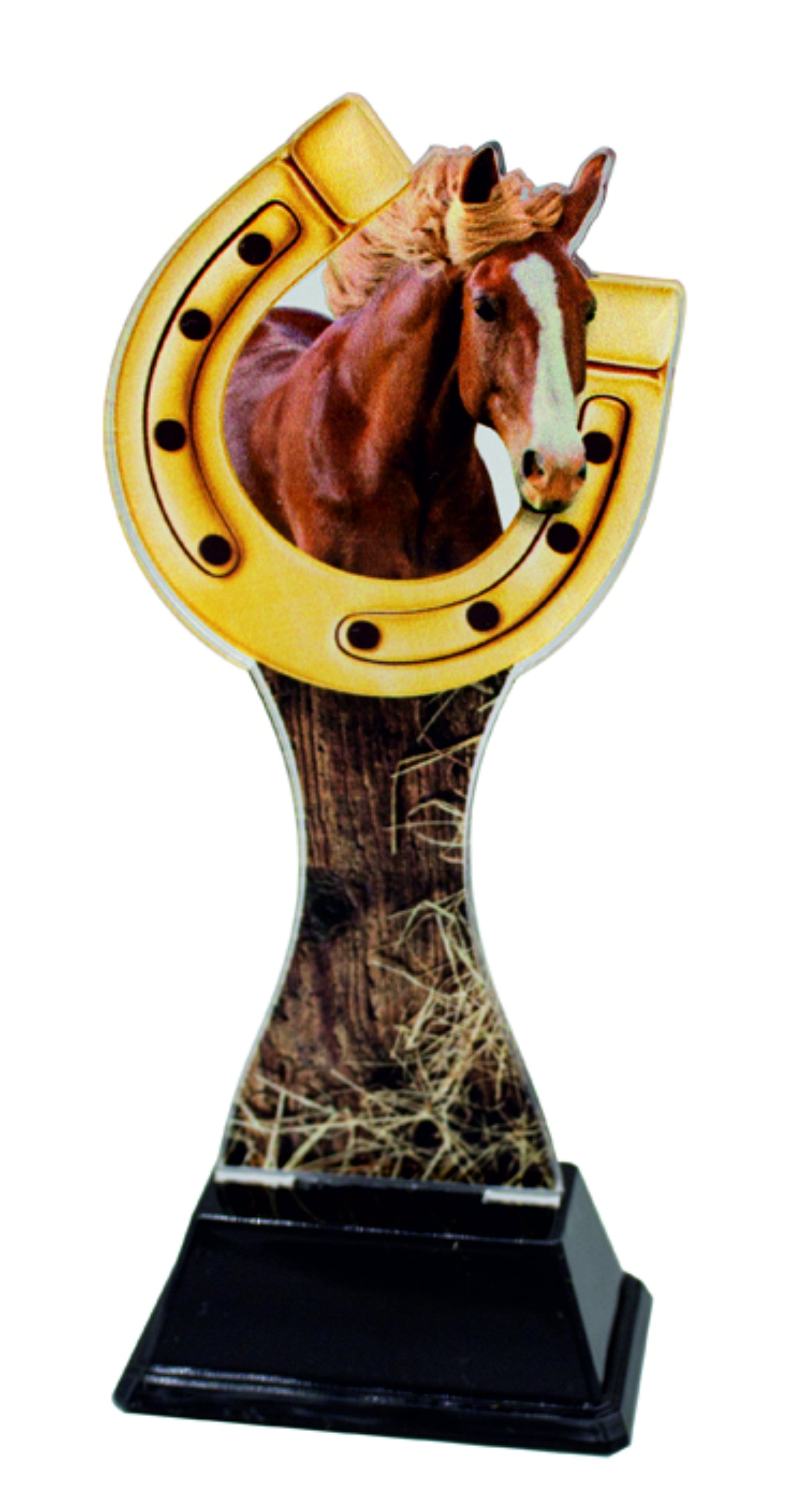 TROFEO METACRILATO EQUITACIÓN