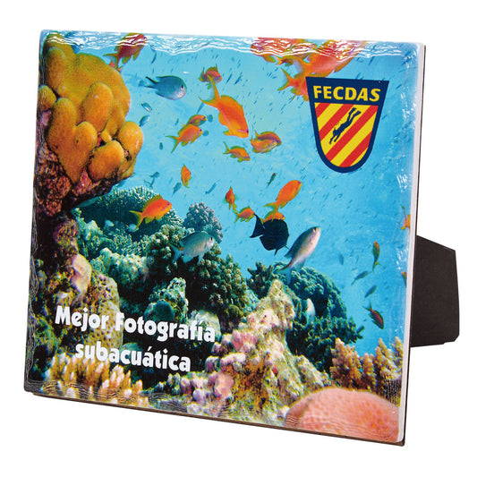 PLACA DE CERÁMICA CUADRADA LACADA A COLOR