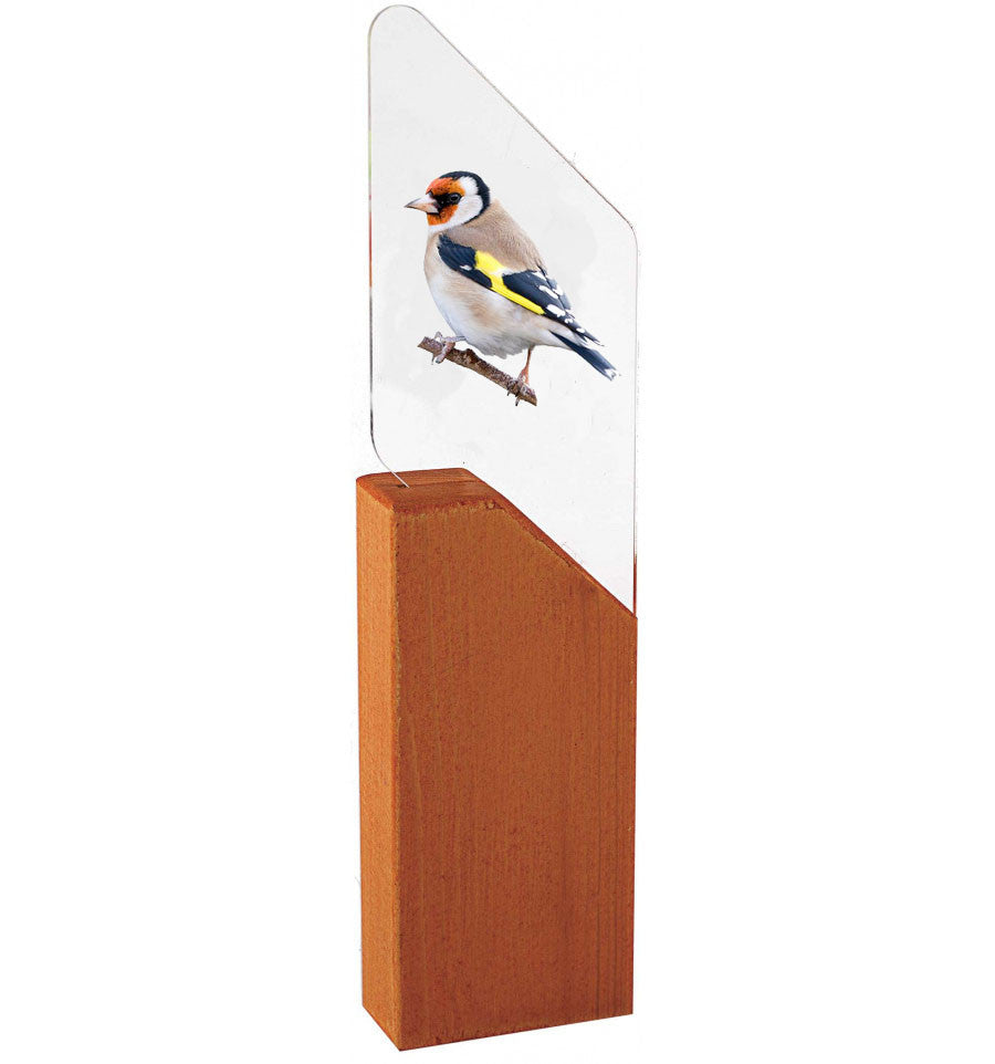 TROFEO PAJARO JILGUERO