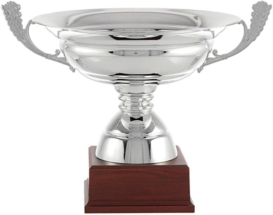 Copa ensaladera plateada