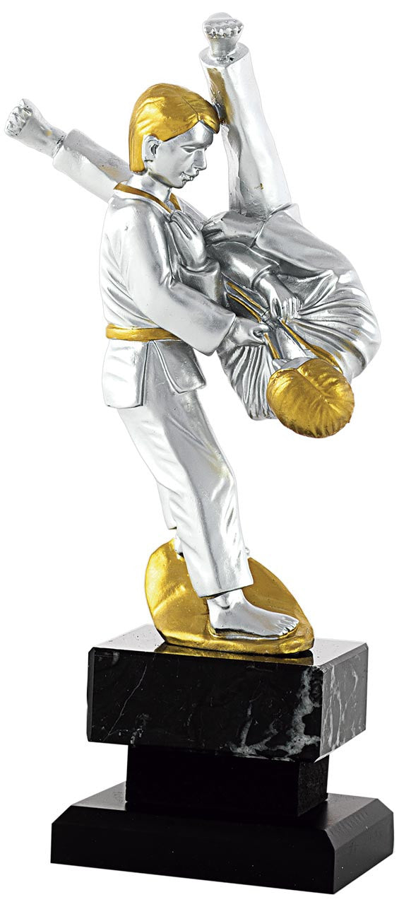 ST1420-11 TROFEO  KARATE