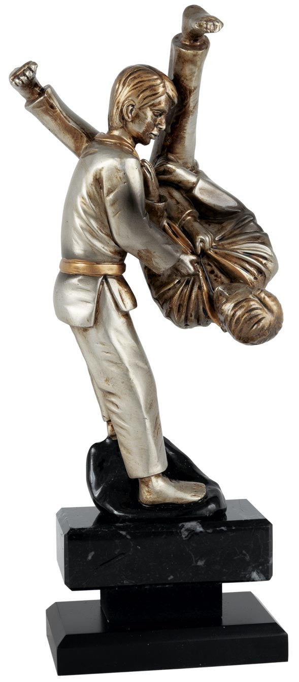 ST1598 TROFEO JUDO DE RESINA