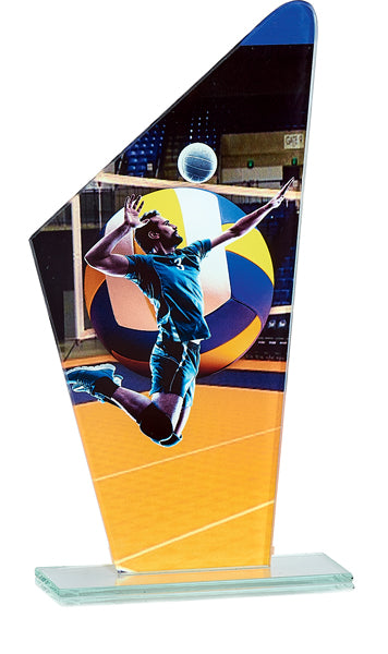 TROFEO DE CRISTAL VOLEIBOL