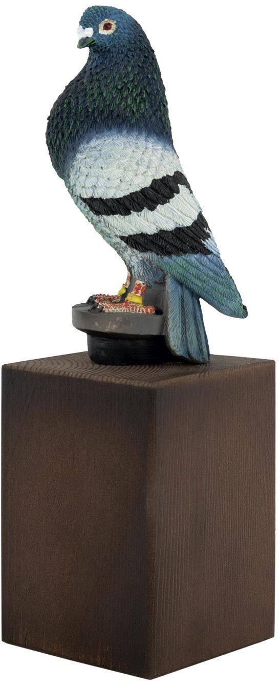 ST1642 TROFEO PALOMA A COLOR