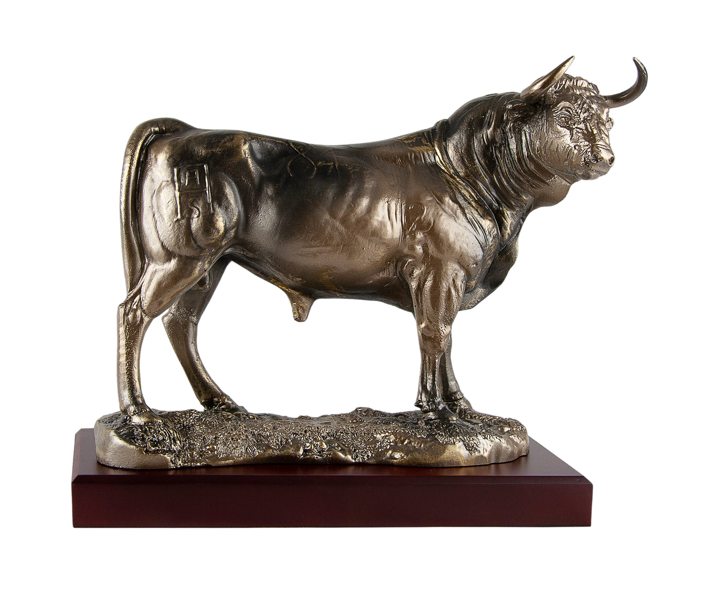 TORO DE LIDIA PARADO MIRANDO