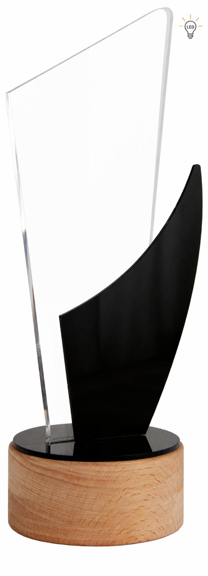 TROFEO DE METACRILATO CON LUZ
